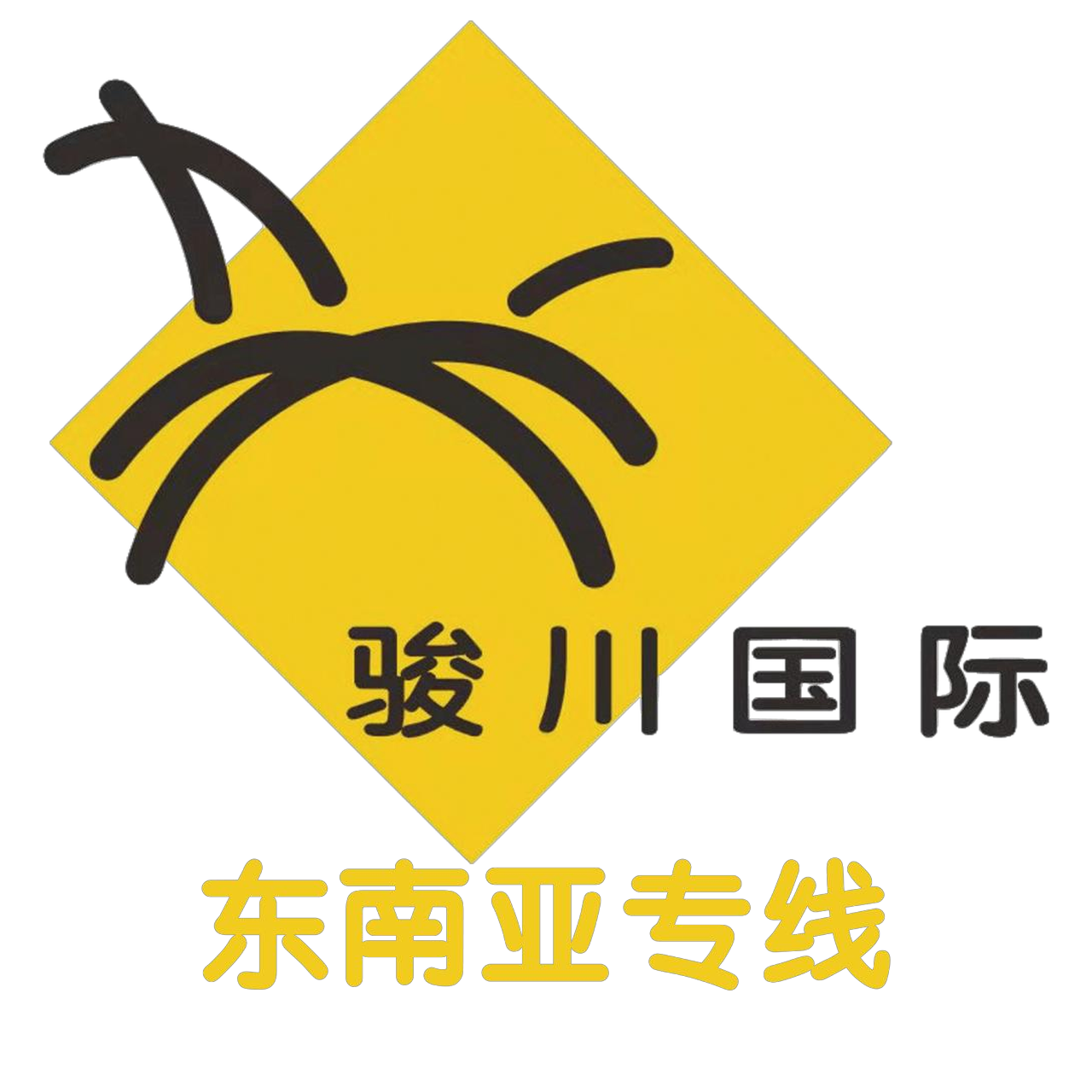 骏川国际东南亚专线